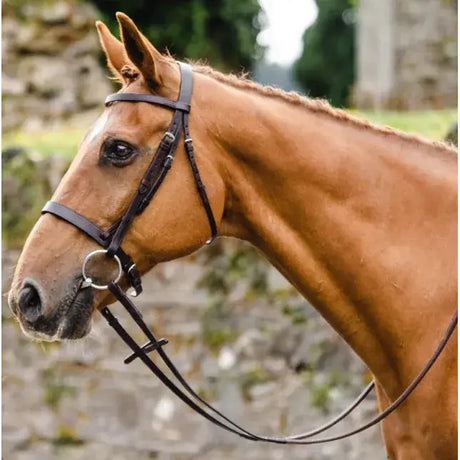 A sleek black leather mackey classic hunt bridle with stainless steel hardware perfect for classic hunt use
