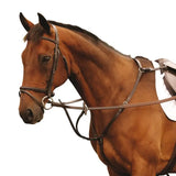 Brown horse wearing a mackey classic hunting breastplate in dark brown leather with martingale attachment