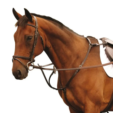 Brown horse wearing a mackey classic hunting breastplate in dark brown leather with martingale attachment