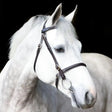 Mackey Classic In-Hand Bridle Black Pony Inhand Bridles