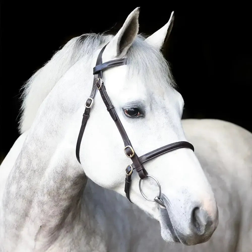 Mackey Classic In-Hand Bridle Black Pony Inhand Bridles