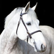 Black leather mackey classic plain inhand bridle with silver metal hardware perfect for show or training use