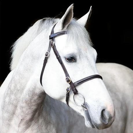 Black leather mackey classic plain inhand bridle with silver metal hardware perfect for show or training use