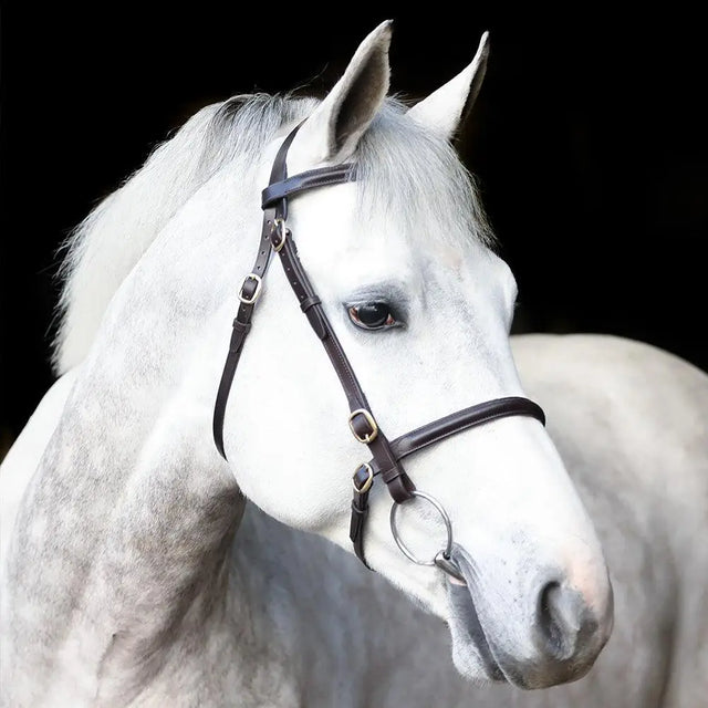 Black leather mackey classic plain inhand bridle with silver metal hardware perfect for show or training use