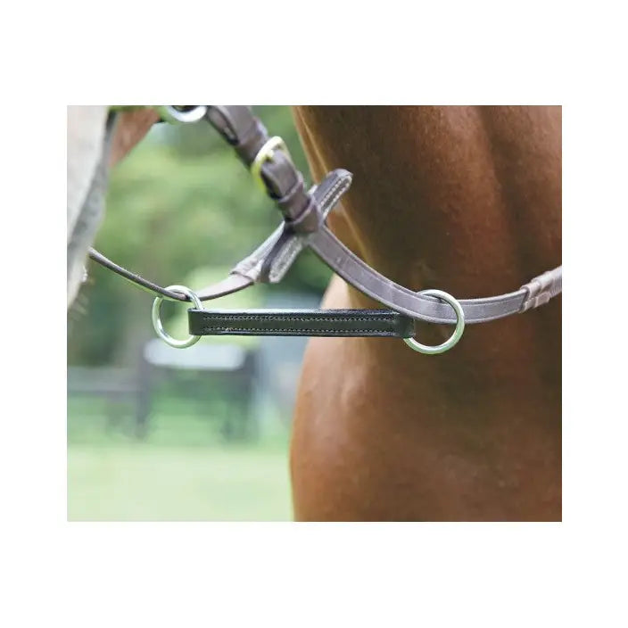 Black leather horse bridle with silver rings and buckle for mackey classic irish martingale use