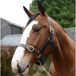 A brown horse wearing a mackey classic leather headcollar with gold hardware and a white blaze on its face