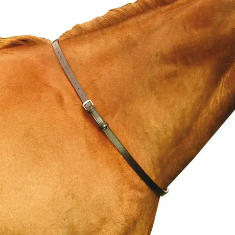 Black leather horse halter with silver buckle and adjustable strap from mackey classic leather neck strap collection