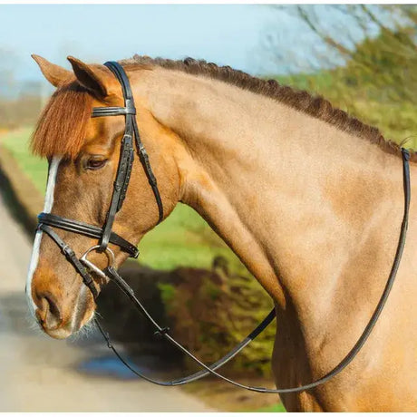 Black leather mackey classic padded flash bridle with silver stainless steel fittings made from highest quality leather