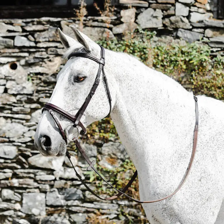 A white horse wearing the mackey classic padded flash bridle in highest quality leather with stainless steel fittings