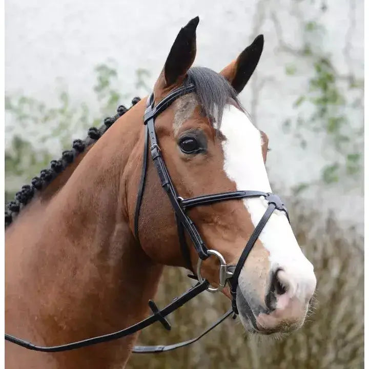 Black leather mackey classic padded grackle bridle on horse with white blaze showing classic padded grackle design