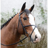 Black leather mackey classic padded grackle bridle on horse with white blaze showing classic padded grackle design