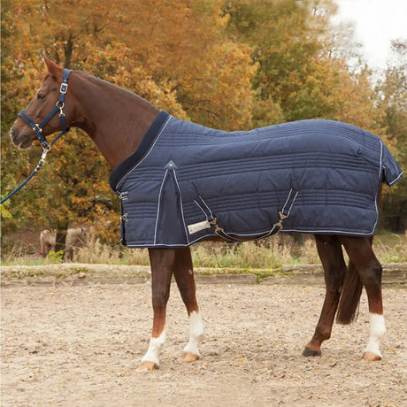 Navy blue quilted mackey comfort line stable rug 300g with white stitching and adjustable straps for horses