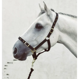 Mackey Economy Webbing Headcollar Black Foal Headcollars