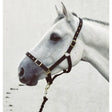 Black leather mackey economy webbing headcollar with gold toned buckles and hardware for horses
