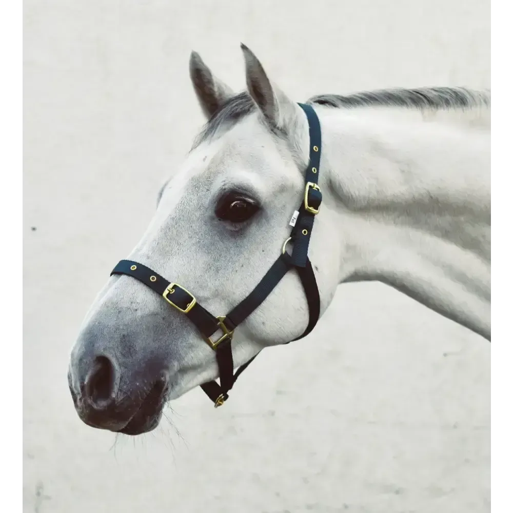 Mackey Economy Webbing Headcollar Green Foal Headcollars