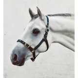 Navy blue leather mackey economy webbing headcollar with gold-tone buckles and metal hardware for horses