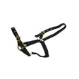 Black nylon horse halter with gold buckles from mackey equisential nylon headcollar for durable use