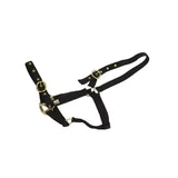 Black nylon horse halter with gold buckles from mackey equisential nylon headcollar for durable use