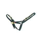 Dark green mackey equisential nylon headcollar with gold metal hardware and adjustable buckles for horses