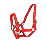 Red nylon mackey equisential nylon headcollar with gold metal hardware and adjustable buckles for horses