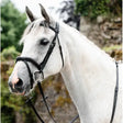 Black leather legend athena bridle with silver buckle made from finest quality european sustainably vegetable tanned leather