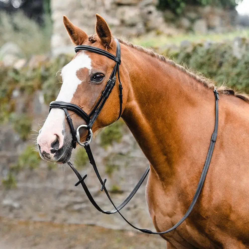Black leather legend athena bridle with silver hardware made from finest quality european leather and sustainably vegetable tanned leather