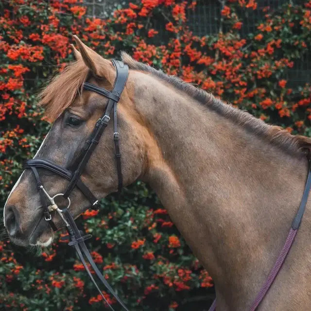 Black leather legend athena bridle with silver hardware made from sustainably vegetable tanned finest quality european leather