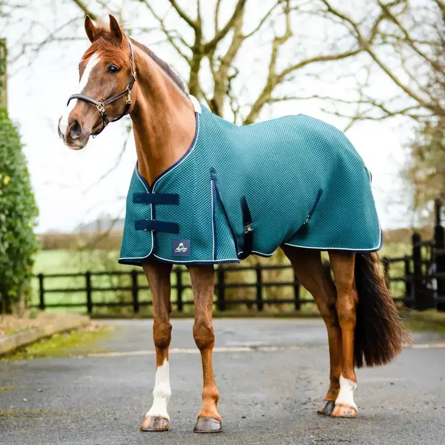Teal textured shannon air cooler horse rug with navy trim and adjustable straps for a cooler horse rug fit