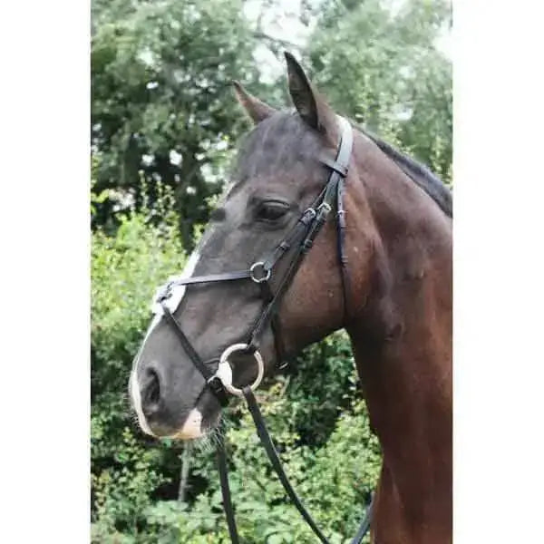 Mexican Grackle Bridle with Rubber Reins By Sheldon Black Pony Bridles Barnstaple Equestrian Supplies