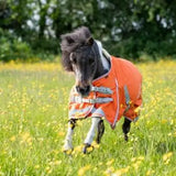 Swish MINI 50g Turnout Rug - Orange 3'3 Turnout Rugs