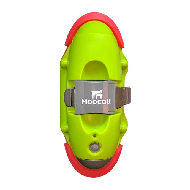 Vibrant lime green and red moocall calving sensor child safety boot with gray buckle for tail mounted calving sensor