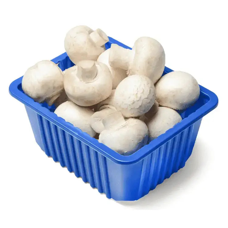 A blue plastic mushroom punnet filled with fresh white button mushrooms perfect for cooking or snacking