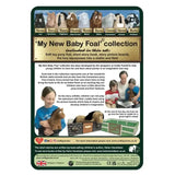 My New Baby Foal Collection Darcy Dartmoor Pony Foal By Crafty Ponies Toy Pony