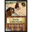 Brown plush dales pony foal with black mane and white eyes from the baby foal collection davie