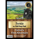 My New Baby Foal Collection Fernie The Fell Pony Foal Toy Pony