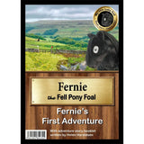 Black fell pony foal fernie soft toy featured on the cover of fernies first adventure in foal collection fernie