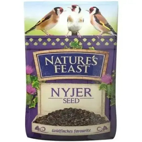 Nature's Feast Nyjer Seed For Wild Birds 1.75kg Feed Wild Bird Food