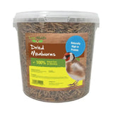 A clear plastic container of brown dried mealworms labeled love wildlife with a finch image for wild bird food