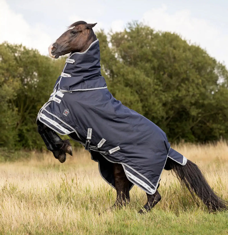 Navy blue horse rug with white trim and reflective branding patches