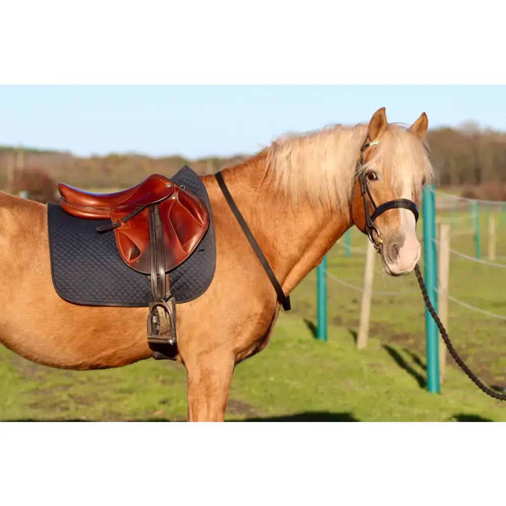 A soft webbing neckstrap on a light brown horse with blonde mane wearing equestrian tack and english saddle