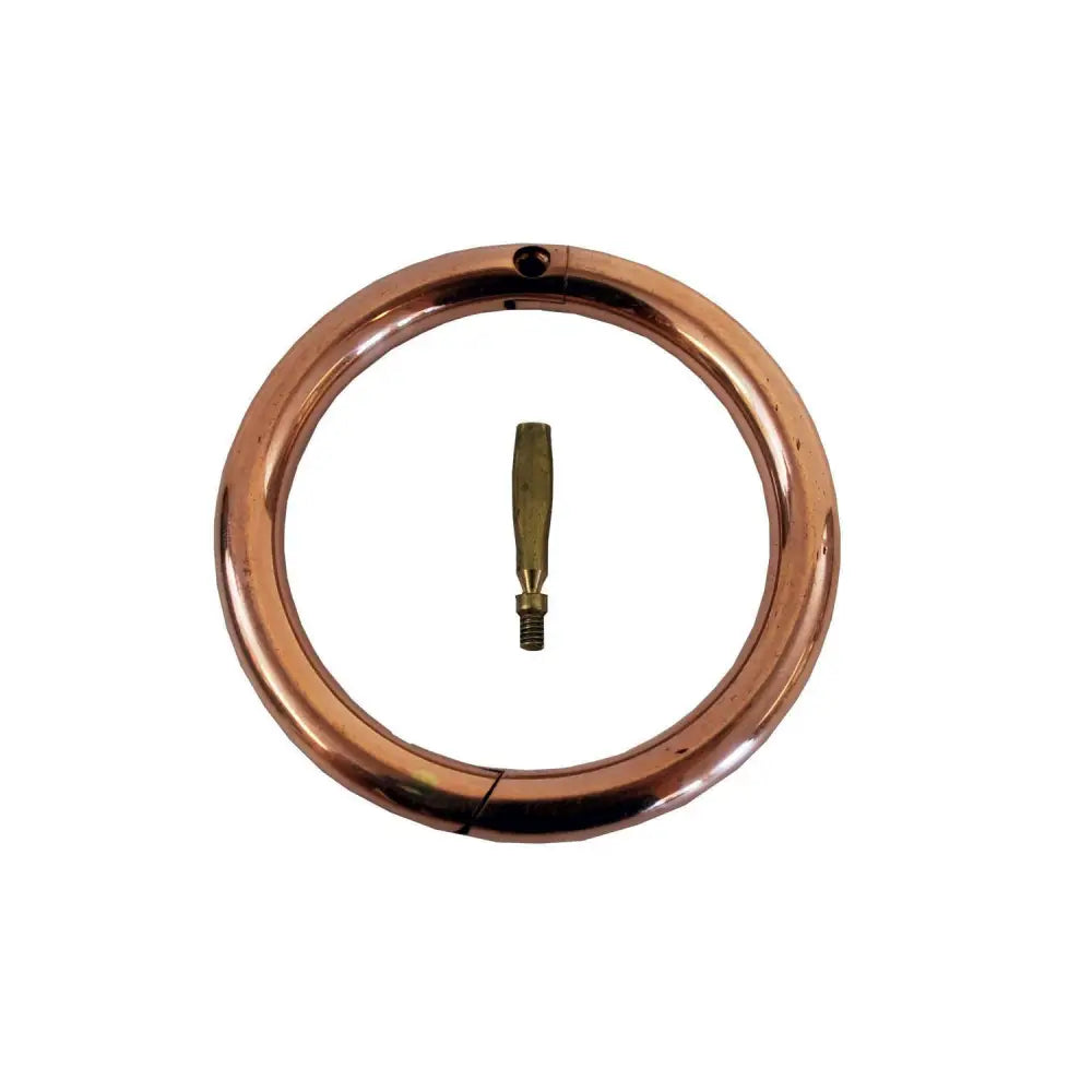 Copper-colored bull ring copper with a small brass screwdriver tool inside by nettex agri bull for piercing bull ring use