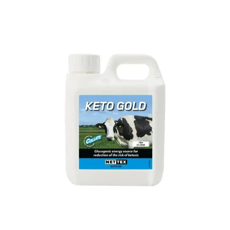 White plastic jug with handle and cap labeled keto gold by nettex nutrition for agri keto gold glucogenic energy source