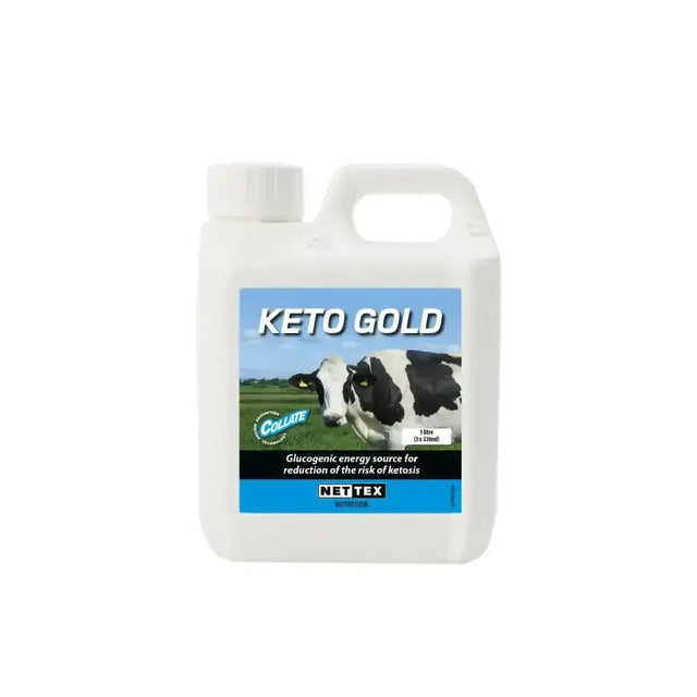 White plastic jug with handle and cap labeled keto gold by nettex nutrition for agri keto gold glucogenic energy source