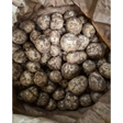 New Potatoes Braunton New Potatos vegetables