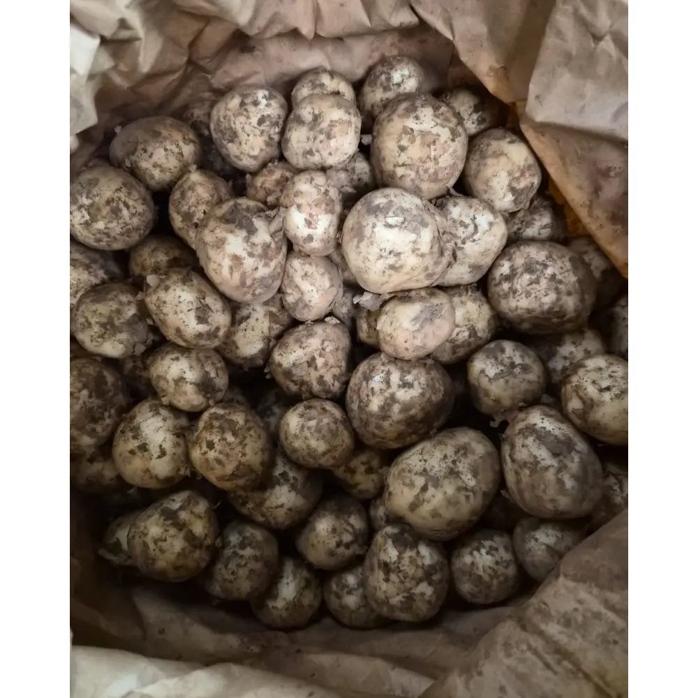 A pile of new potatoes with earthy brown skin perfect for healthy meals after a day of equestrian activities