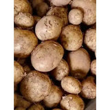 A pile of earthy brown new potatoes with rough skin and soil residue perfect for fresh healthy meals and equestrian nutrition