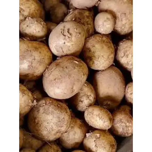 New Potatoes Cornish New Potatos vegetables