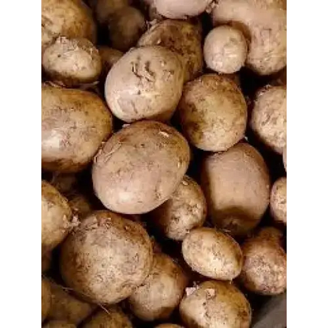 New Potatoes Cornish New Potatos vegetables