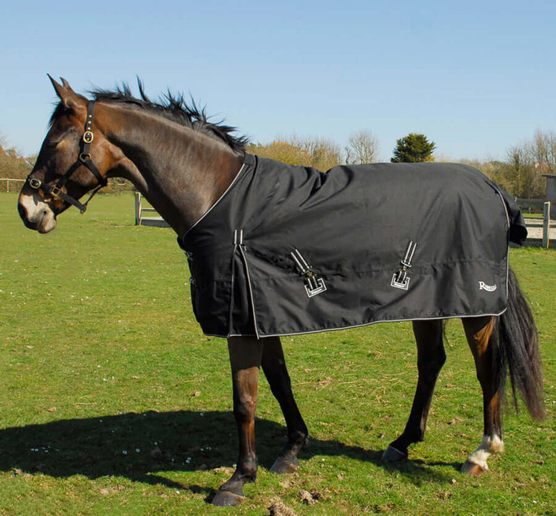 Lightweight Turnout Rugs No Fill to 50g Turnout Rugs, 100g Turnout Rugs with Standard Necks to Combos and Detachable Horses.  FAST NEXT DAY DELIVERY with Online Discounts for Local Click & Collections and Van Deliveries with Barnstaple Equestrian Supplies