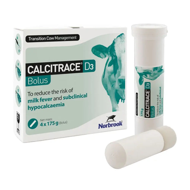 White cylindrical calcium supplement tubes with teal and black norbrook calcitrace d3 bolus for long lasting oral supplement
